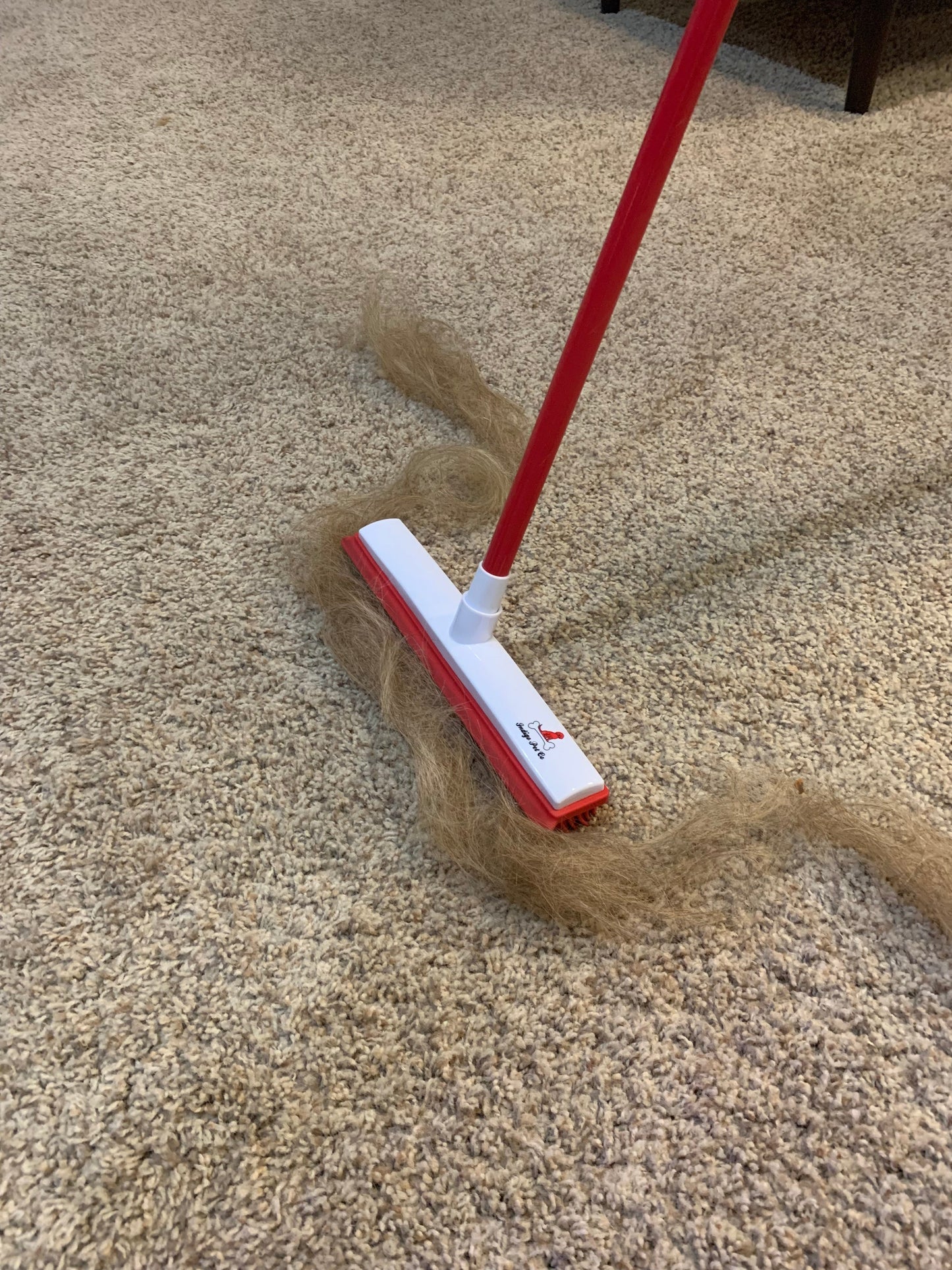 CaedreaPetco™ - Hair Removal Broom
