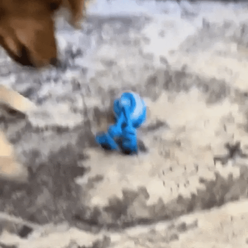 PawsPal™ - The pet's best playpal