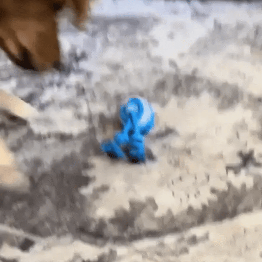 PawsPal™ - The pet's best playpal