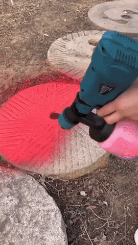 FlexiSpray™ - Effortless PaintMaster Pro